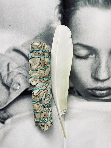 Clearing White Sage Smudge Stick • LARGE (15cm)