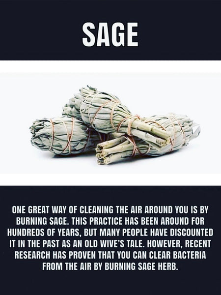 Clearing White Sage Smudge Stick • LARGE (15cm)