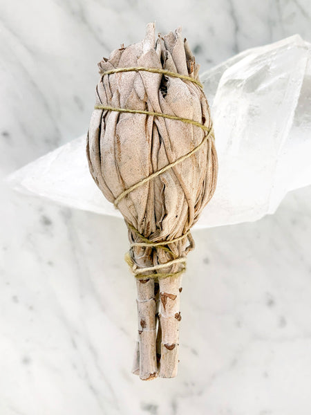 Clearing White Sage Smudge Stick • SMALL (10-12cm)